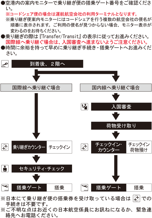 モスクワ・ドモジェドボ国際空港 往路乗継