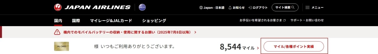 マイル/各種ポイント実績