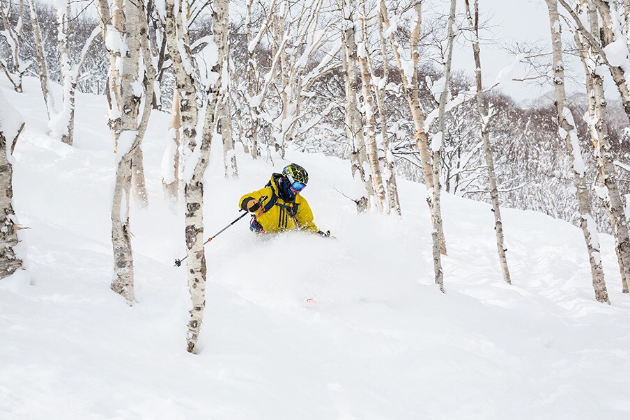 Traverse the backcountry runs of Hakkoda