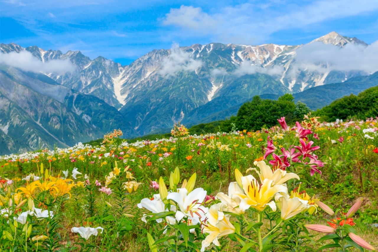 Discover Nature and Parks in Nagano