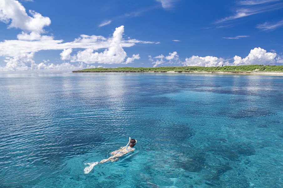 일본의 6-8월: 여름(기온: 16°~30°C)