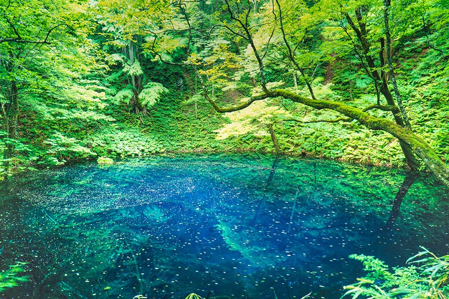 Admire the blue waters of Juniko