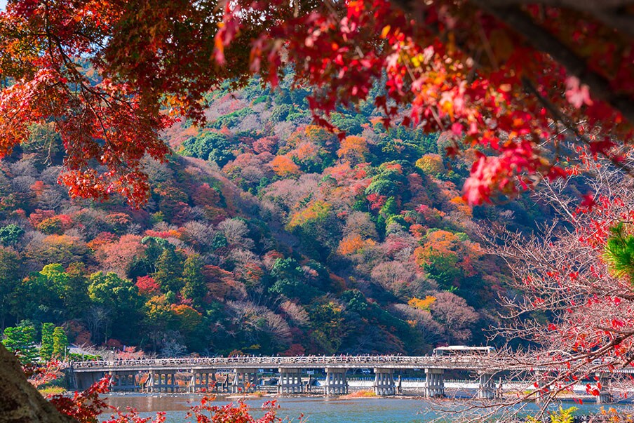 Arashiyama