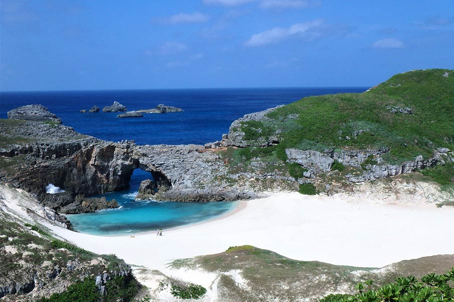 Visit remote Minamijima Island with a certified nature guide