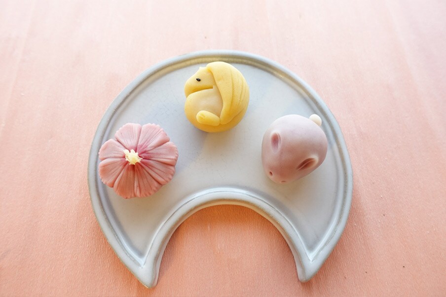 Optional activity: TSUBAKI Plan