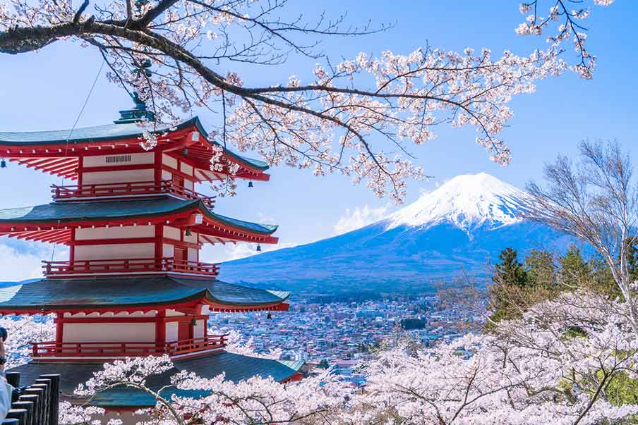 In bloom: a complete guide to cherry blossom season in Japan