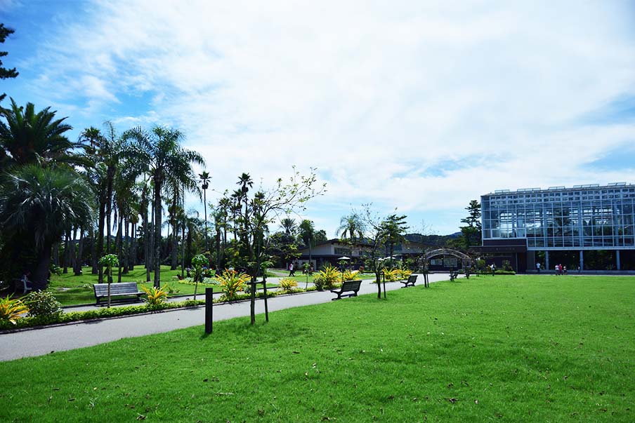 Admire the flora and fauna at Miyakoh Botanic Garden Aoshima