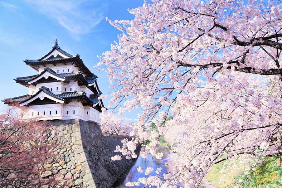 Why you should attend a spring festival: captivating culture, fresh experiences, and colorful traditions