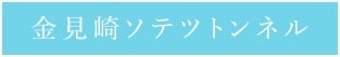 金見崎ソテツトンネル