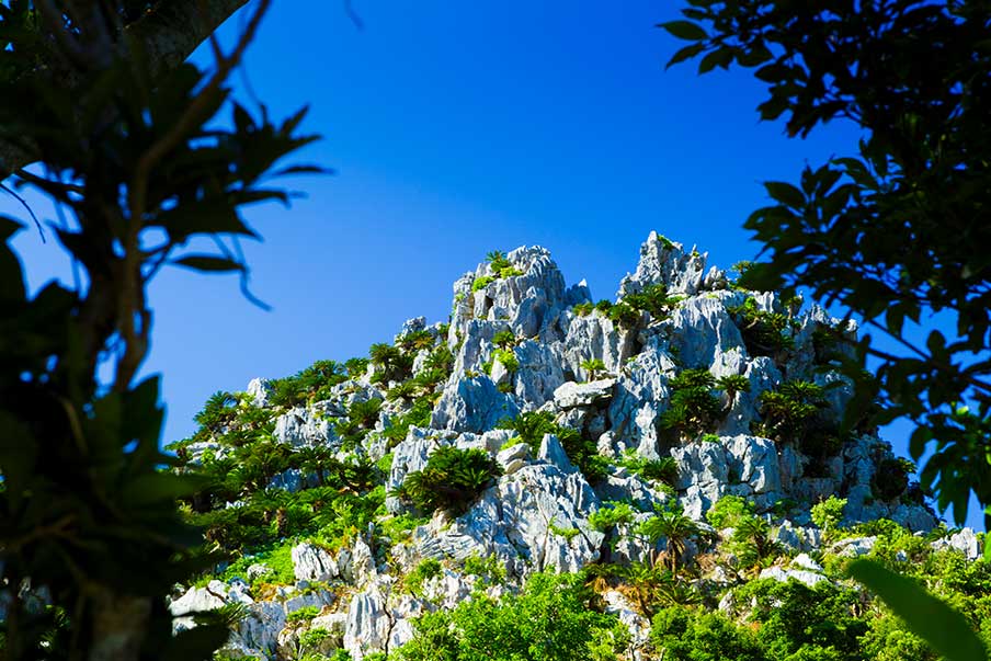 Daisekirinzan: A karst formation in Yanbaru Forest