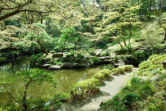 Tonogayato Gardens - a peaceful pocket of green
