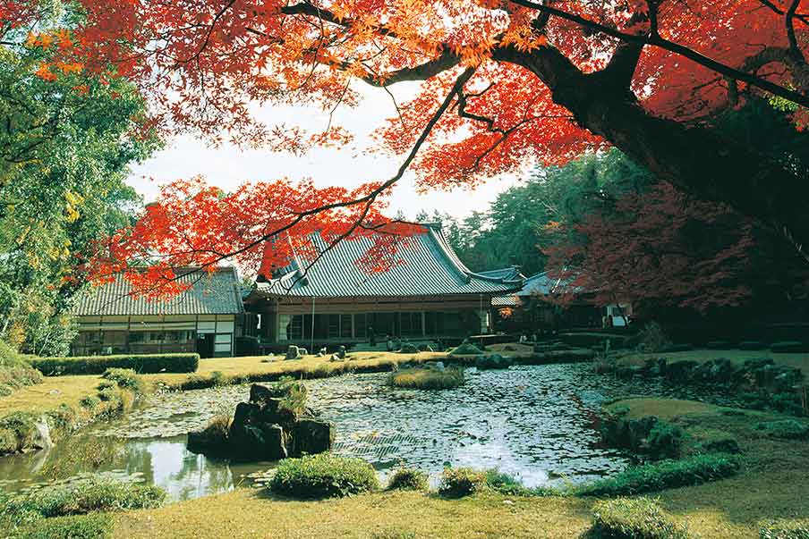 Visit the zen garden at Joeiji Temple