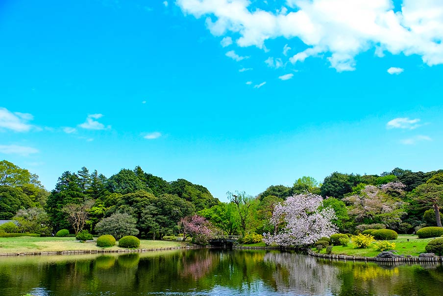 Shinjuku Gyoen (Tokyo) - featuring gardens and cherry trees