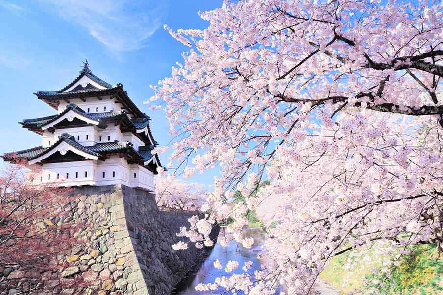 Hirosaki Park (Aomori) - famous for Hirosaki Castle with surrounding cherry trees