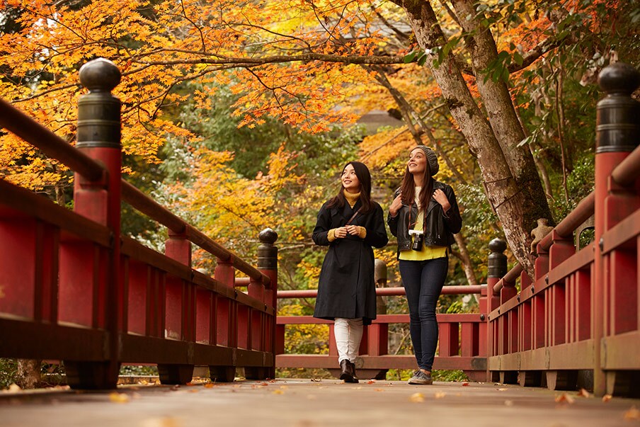 Drop off your luggage, and enjoy sightseeing in Japan freely!