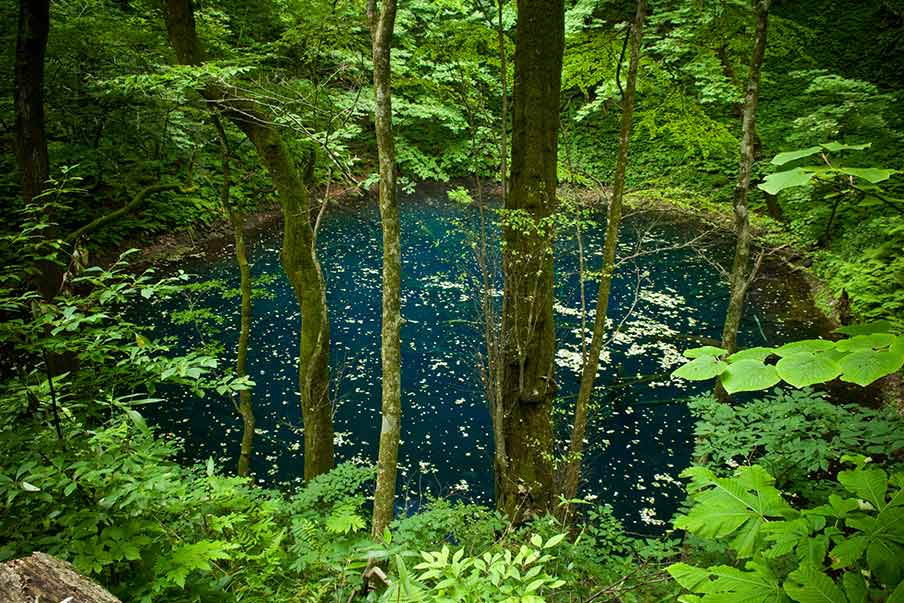 Admire the Twelve Lakes of Juniko