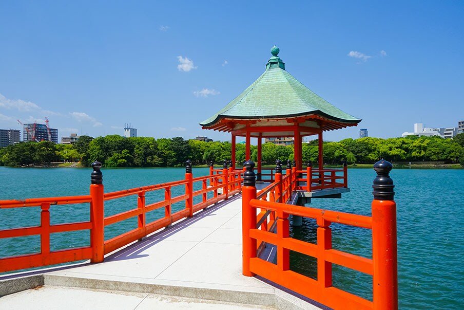 Admire places of scenic beauty at Maizuru Park and Ohori Park