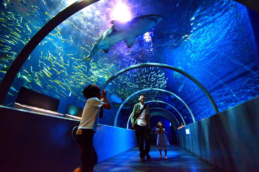 Marine Park NIXE