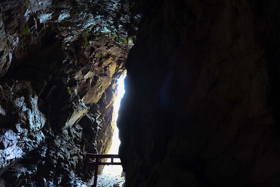Omi-jinja Shrine - Admire the ascending dragon