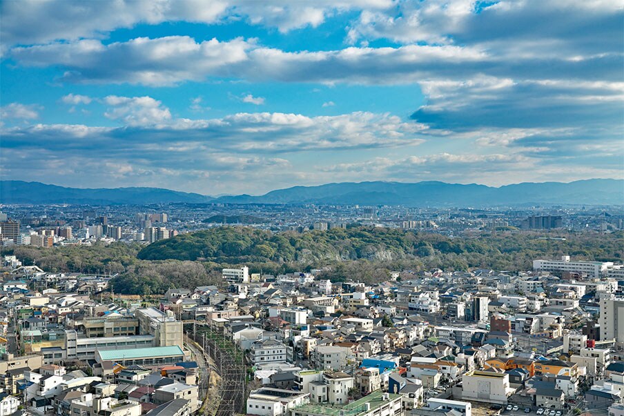Sky-high view 