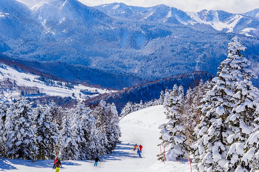 Shiga Kogen