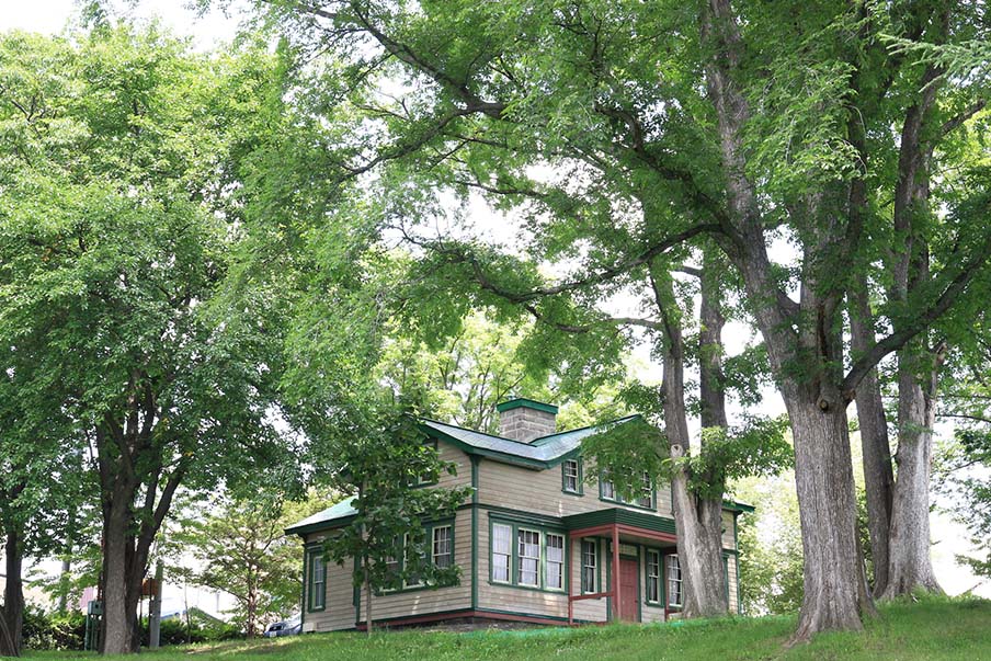 The house and surrounding area