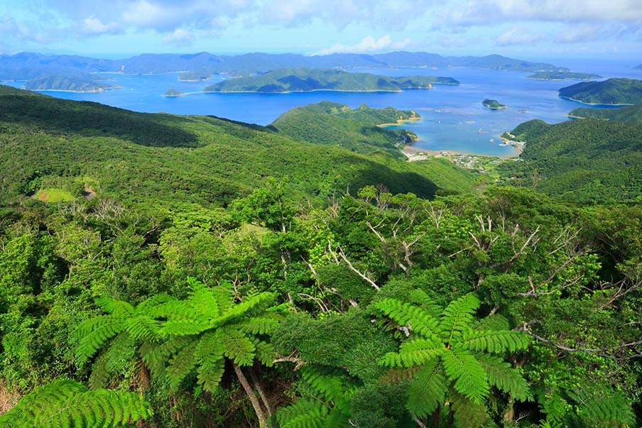 Kikaijima Island and Kakeromajima Island: Immerse Yourself in Crystal Clear Water to Lush Green Sights