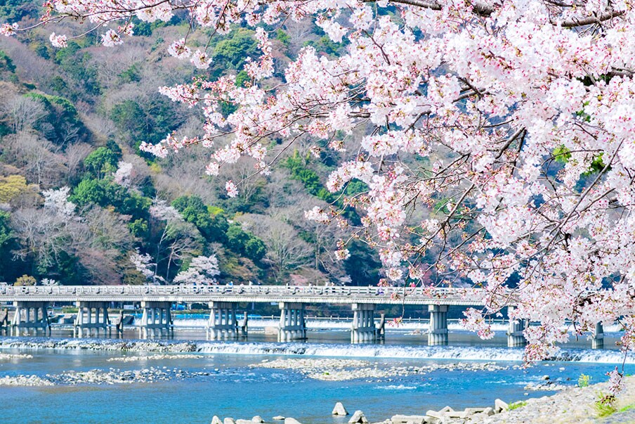 Hike, meet monkeys, and relax at Arashiyama Park