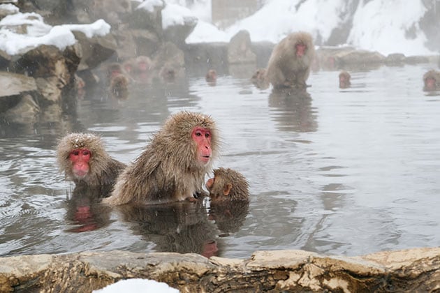 What is an onsen in Japan?