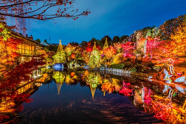 Mejiro Garden - a picturesque city garden