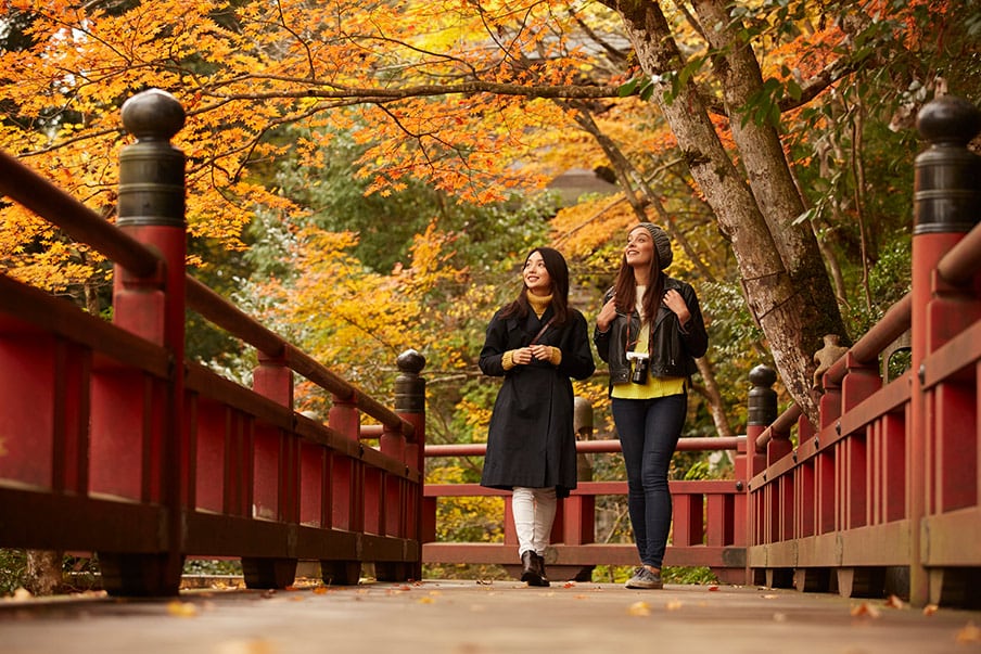 Drop off your luggage, and enjoy sightseeing in Japan freely!