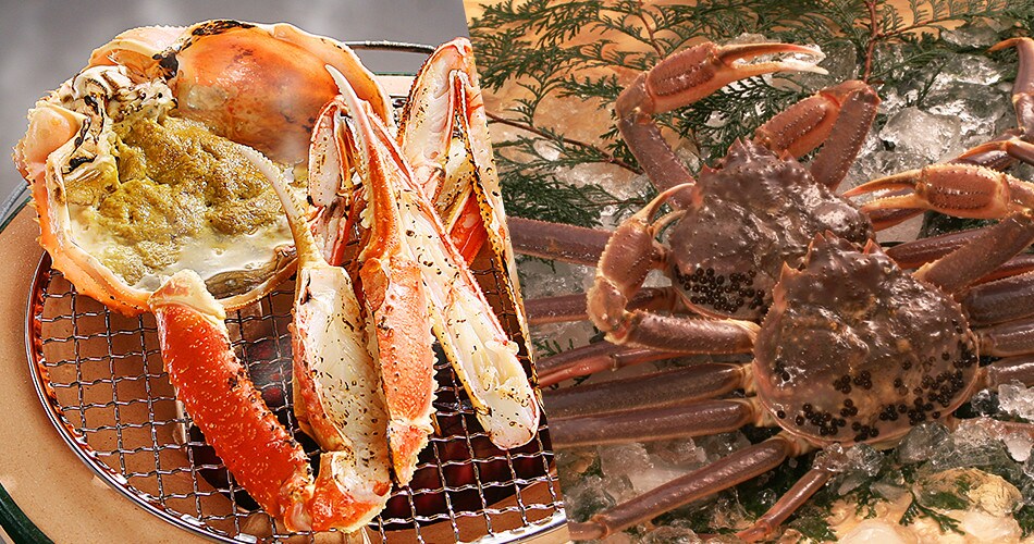 世界が注目 ユネスコ世界ジオパーク認定 隠岐へ行こう 国内ツアー 旅行ならjalパック Jal国内ツアー