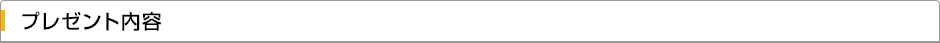 プレゼント内容