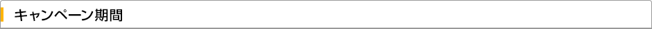 キャンペーン期間
