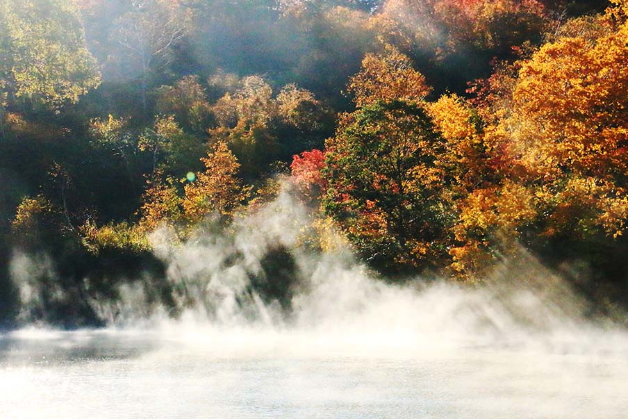 Explore the wonders of Aomori the whole year round