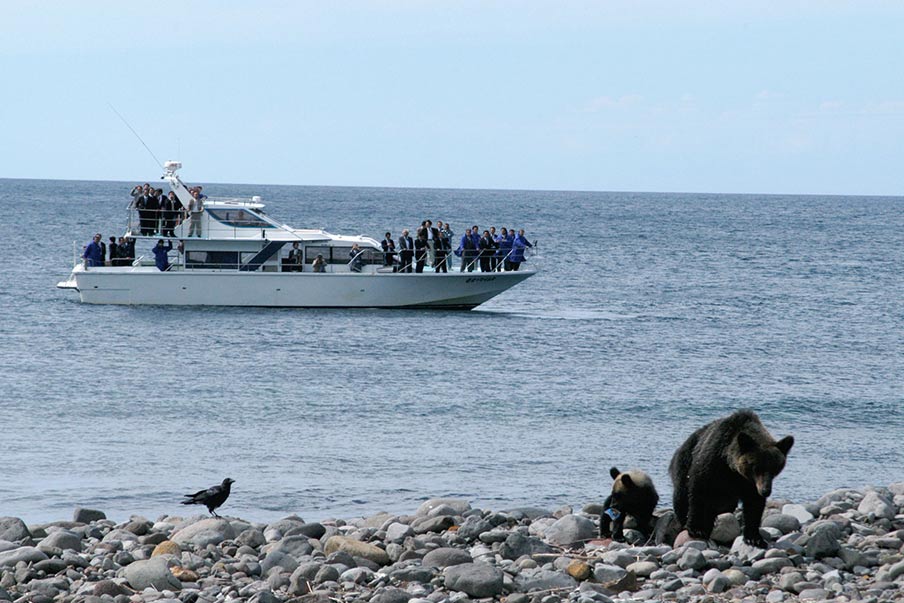 Set off on a sightseeing cruise