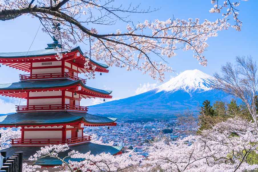 Capture the beauty of Chureito Pagoda (忠霊塔)
