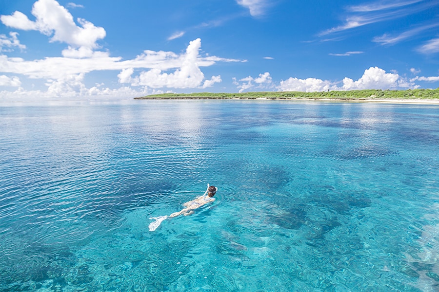 Snorkel alongside sea turtles at Kohama Island's remote beaches