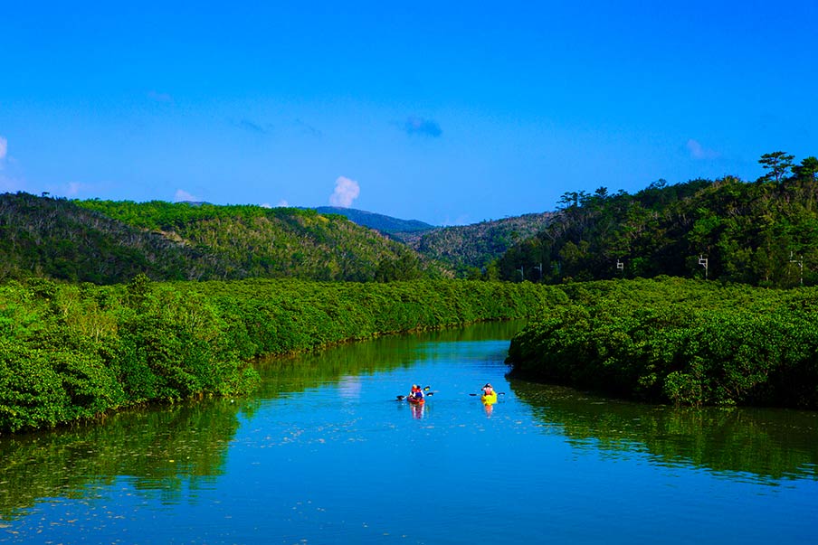 Don't Miss Amami, Tokunoshima, Okinawa, and Iriomote islands