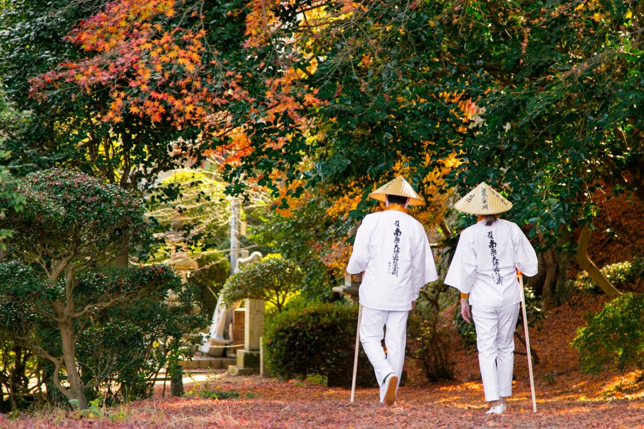 What is Shikoku Japan known for?