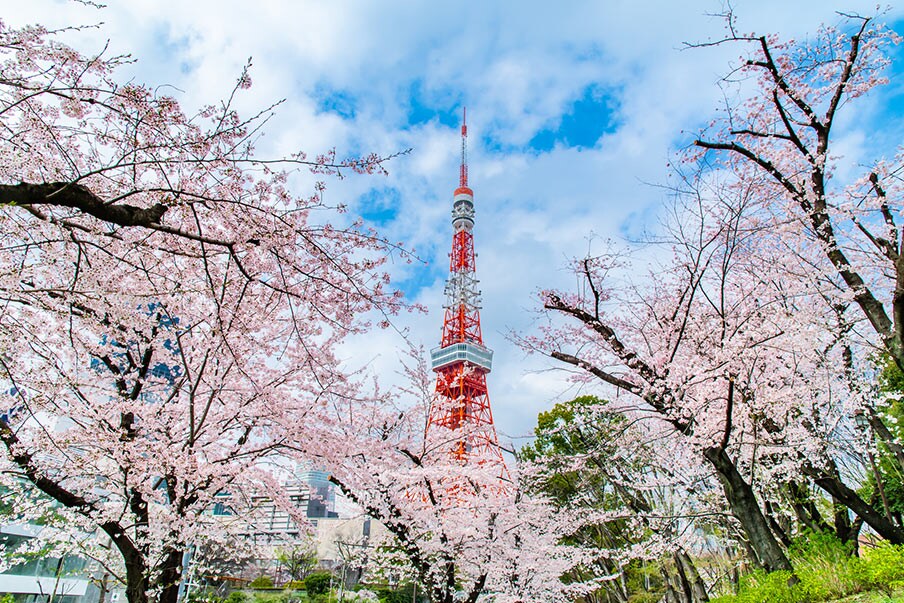 See the scenic and historic views at Shiba Park