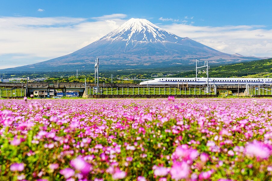 Come visit Japan for your next business trip