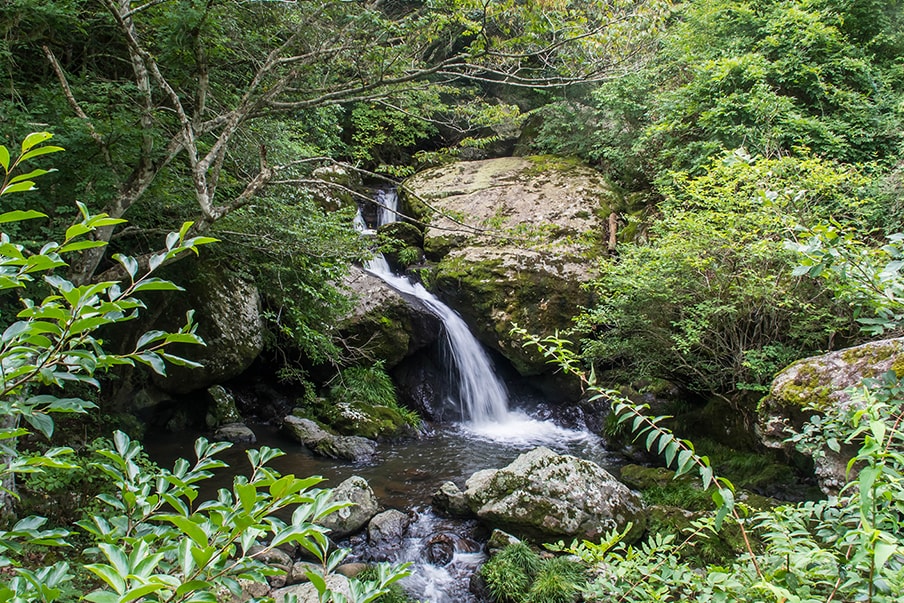 รุริเคอิ