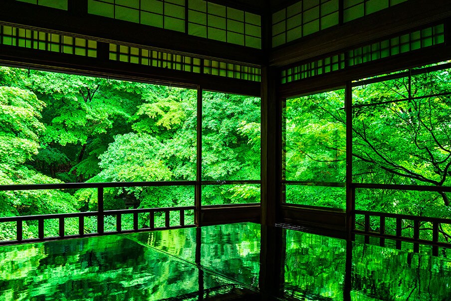 Find Your Peace at the 3 Best Zen Temples in Japan's Historic Capital
