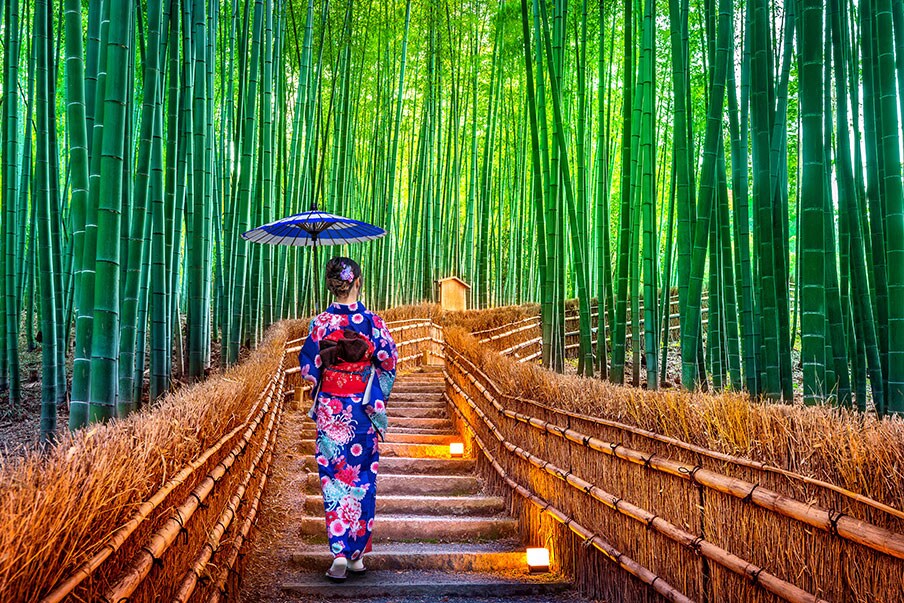 bamboo forest in Sagano, kyoto, Japan