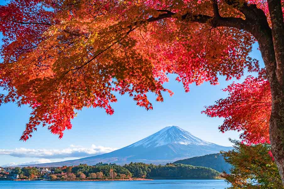 Visit Lake Kawaguchiko (河口湖) in the fall or winter