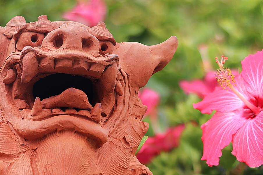 Enjoy your time in Okinawa and Naha Airport