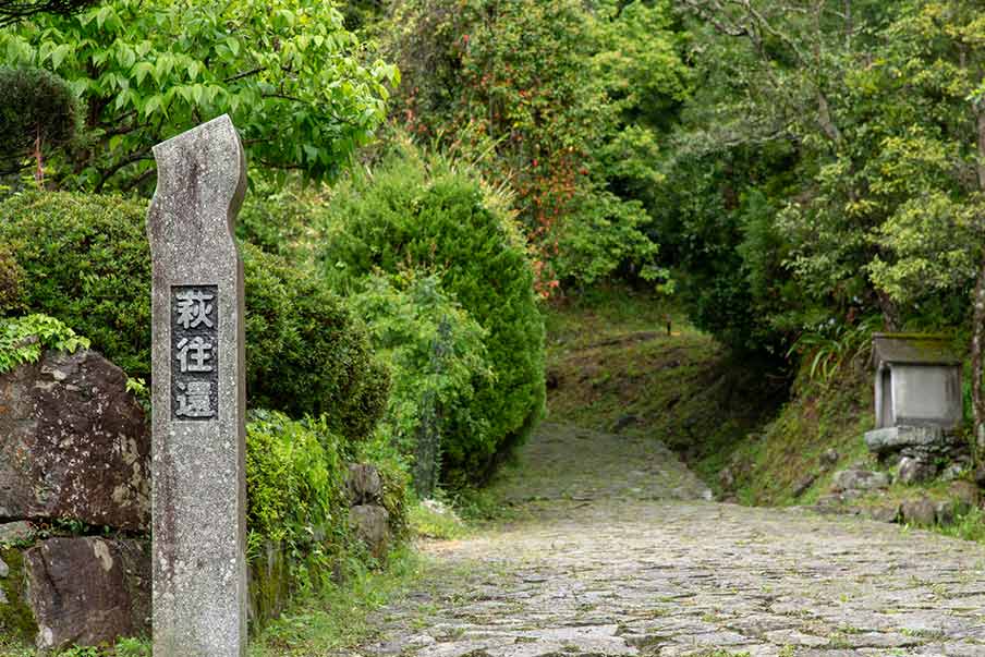 Take the Hagi Okan guided walking tour