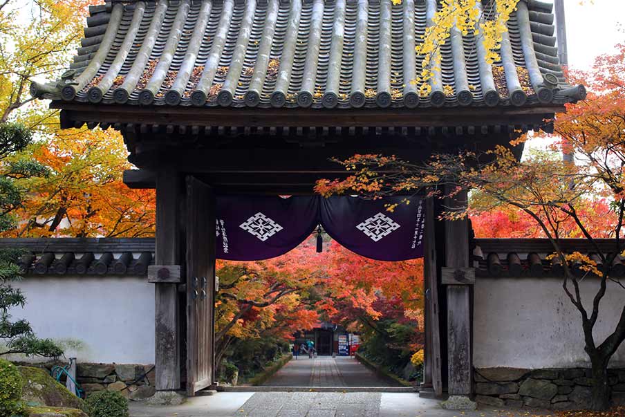 Explore Yamaguchi City's tourism initiatives