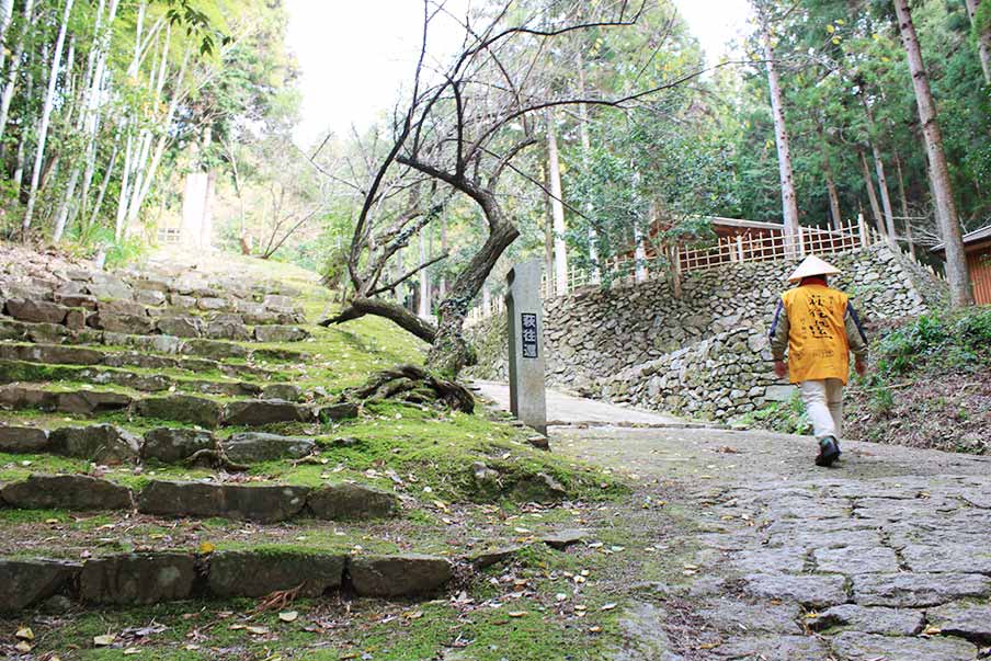 Optional activity (bookable and purchasable): Hagi Okan Guided Tour